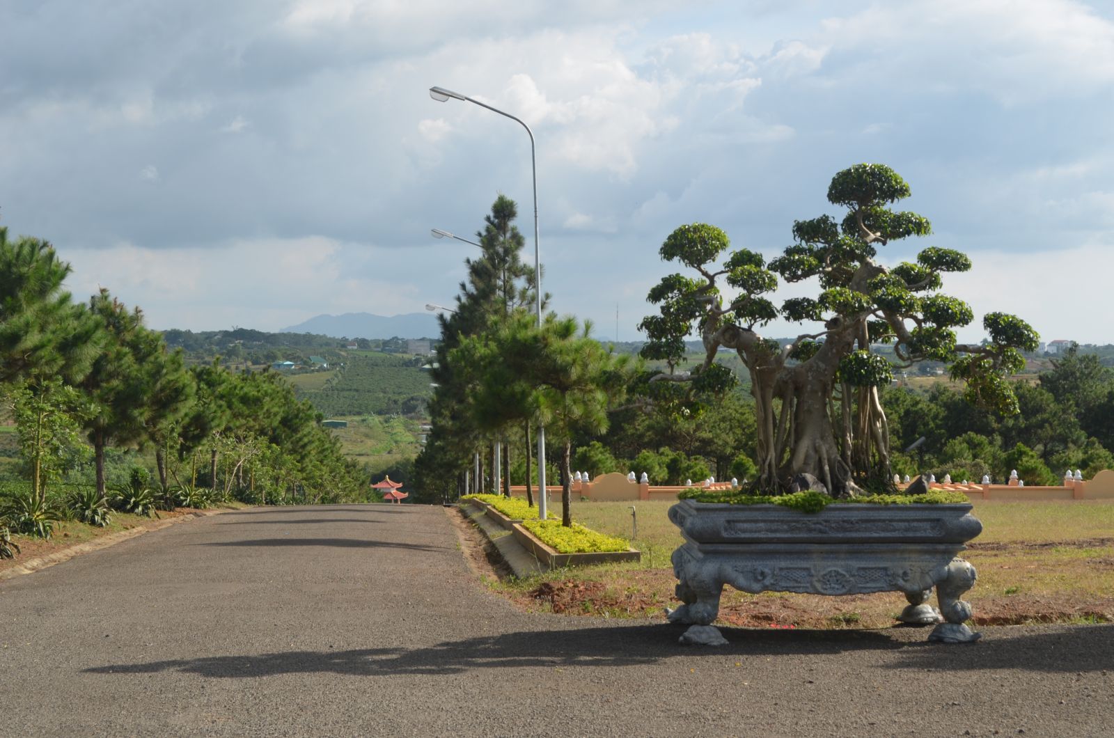 Phần mộ tổ tiên ảnh hưởng như thế nào đến đến vận mệnh?