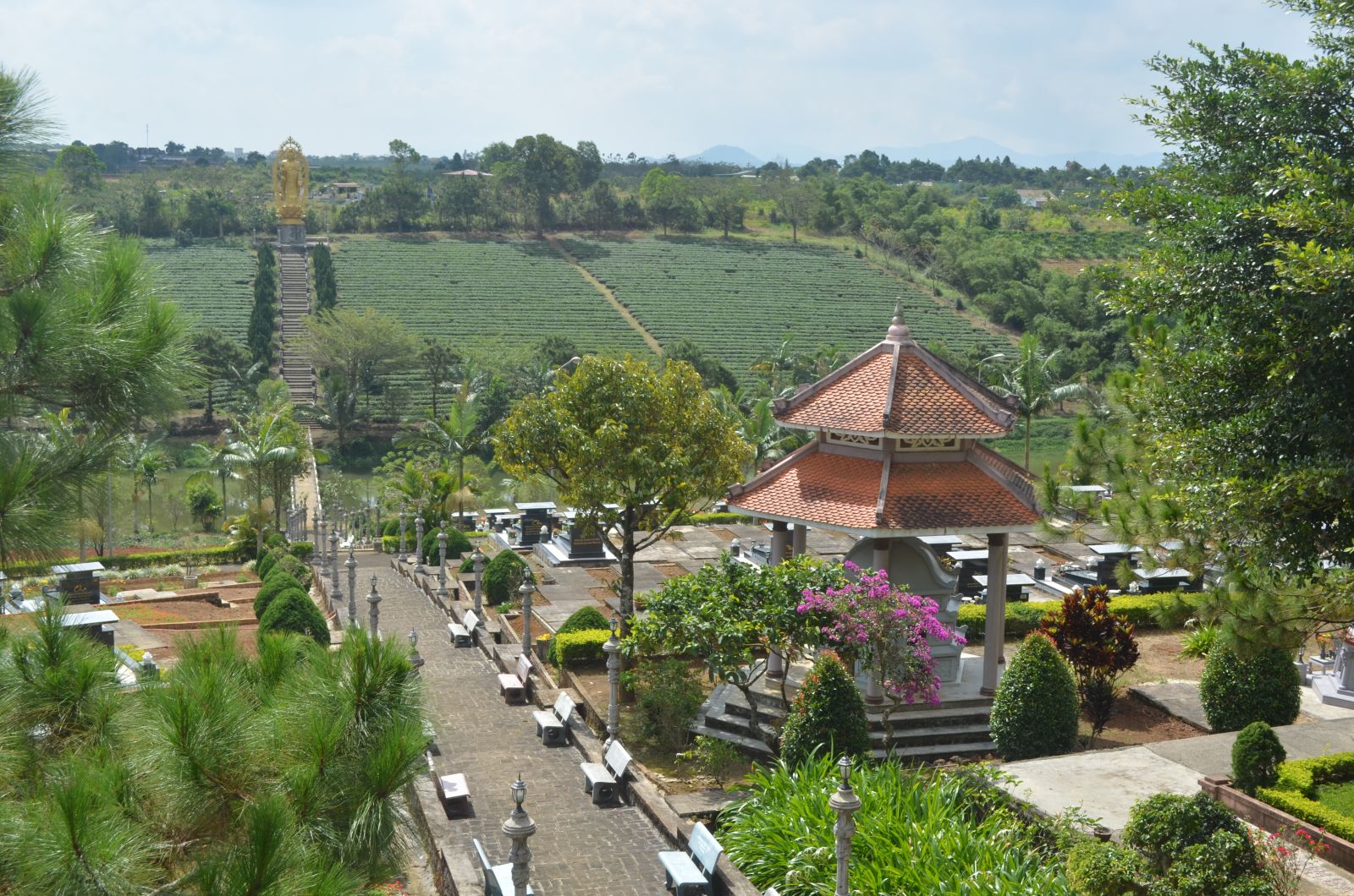 Tảo mộ đầu xuân